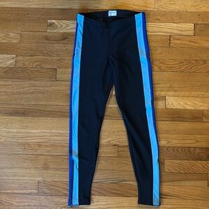 Pearl Izumi winter tights